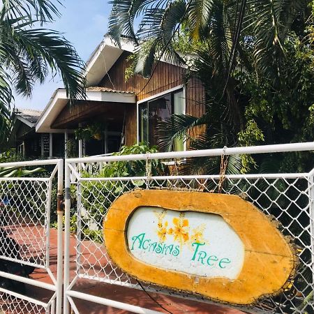 Villa Acacias Tree San Andrés Extérieur photo