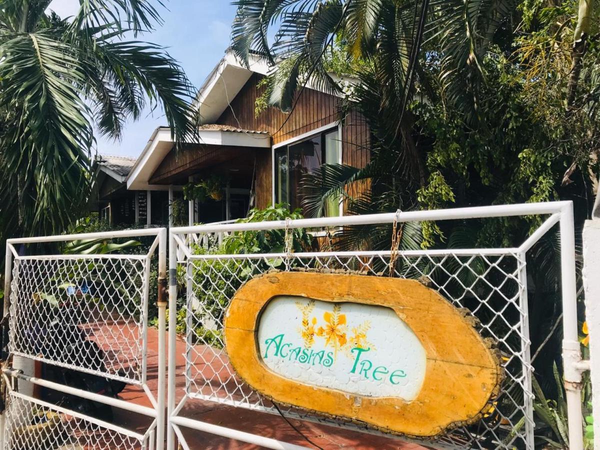 Villa Acacias Tree San Andrés Extérieur photo