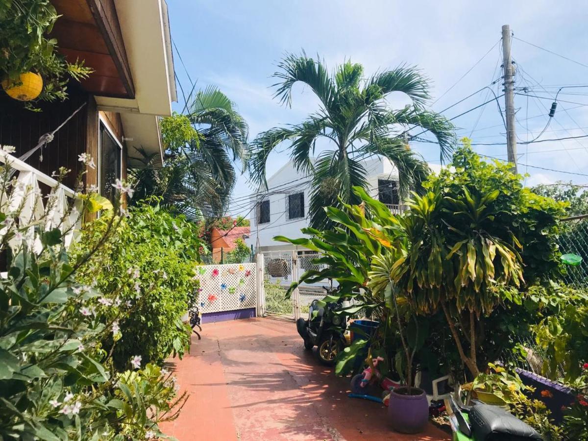 Villa Acacias Tree San Andrés Extérieur photo